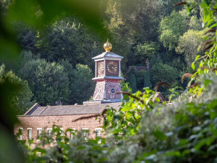 Clock tower in the distance appearing through tree leaves