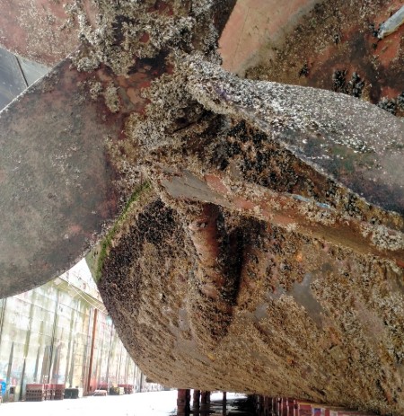 Ship hull covered in mussels and other sea life