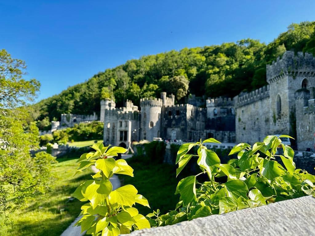 Gwrych Castle is surrounded by trees and fields of greenery.