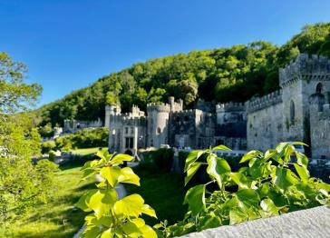 Gwrych Castle is surrounded by trees and fields of greenery.