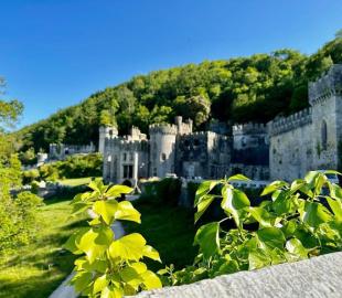 Gwrych Castle is surrounded by trees and fields of greenery.